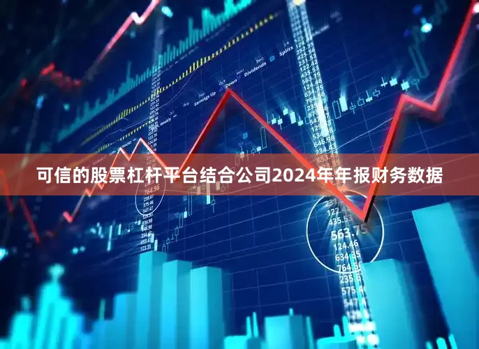 可信的股票杠杆平台结合公司2024年年报财务数据