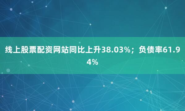 线上股票配资网站同比上升38.03%；负债率61.94%