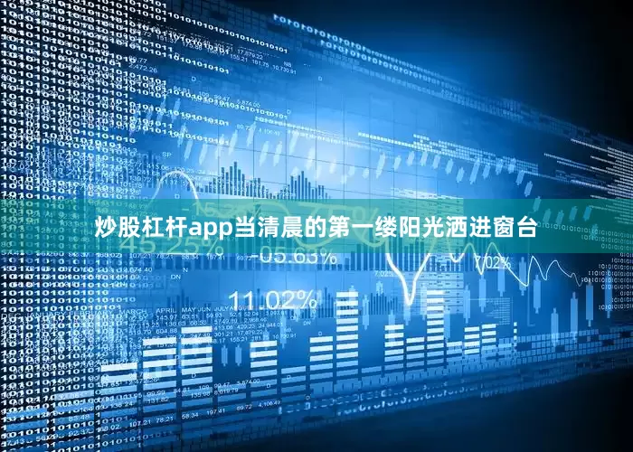 炒股杠杆app当清晨的第一缕阳光洒进窗台