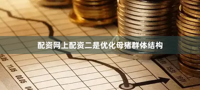 配资网上配资二是优化母猪群体结构