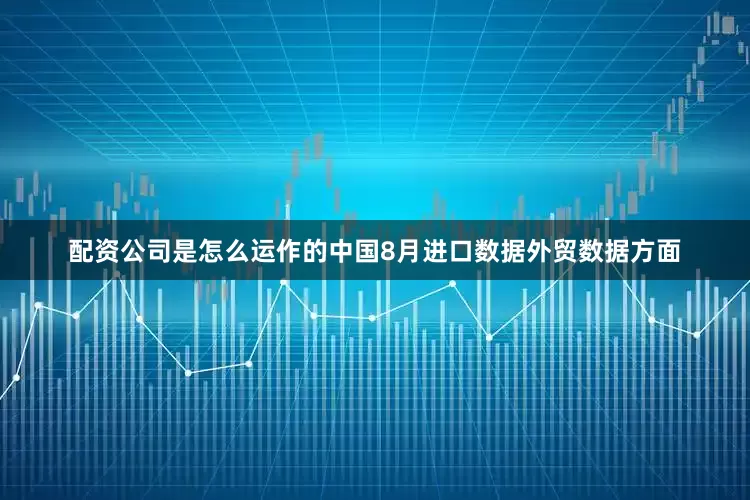 配资公司是怎么运作的中国8月进口数据外贸数据方面