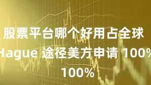 股票平台哪个好用占全球 Hague 途径美方申请 100%