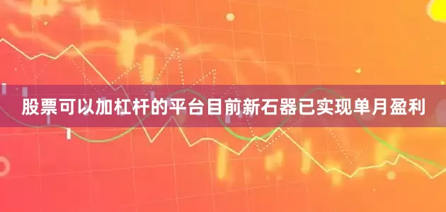 股票可以加杠杆的平台目前新石器已实现单月盈利