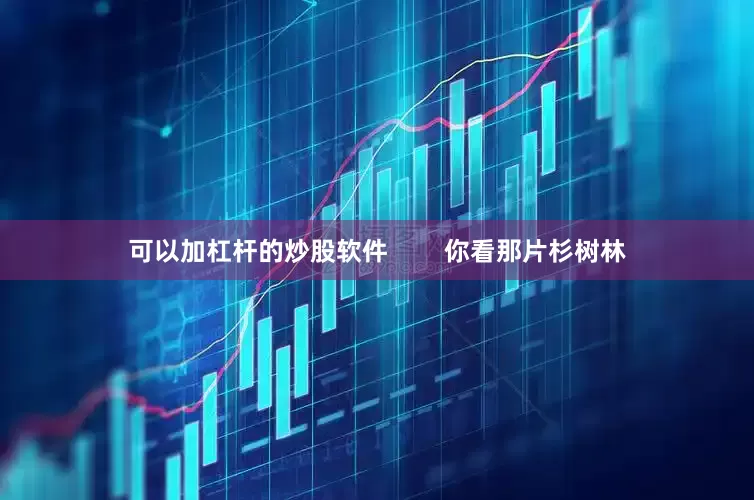 可以加杠杆的炒股软件        你看那片杉树林